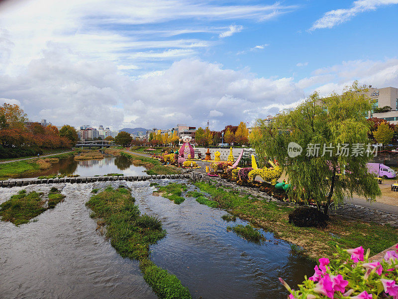 vh560 - 000菊花节风景1.JPG